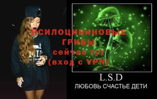 ГАЛЛЮЦИНОГЕННЫЕ ГРИБЫ Алексин