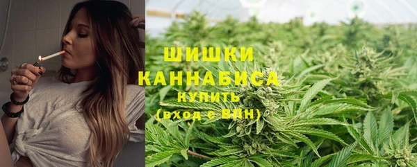 ГАЛЛЮЦИНОГЕННЫЕ ГРИБЫ Алексин