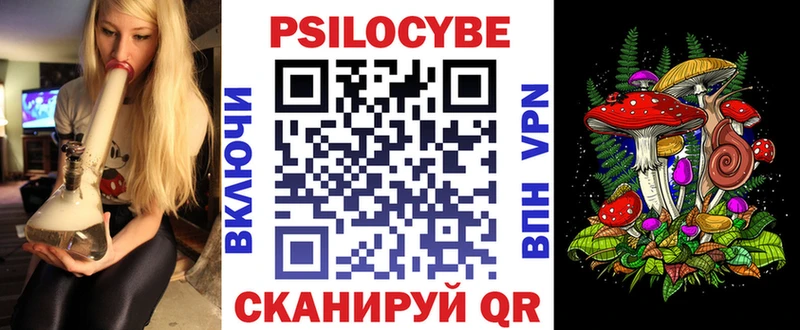 кракен как зайти  Юрьев-Польский  Галлюциногенные грибы Cubensis 